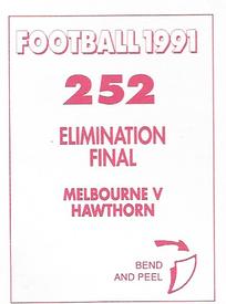 1991 Select AFL Stickers #252 Darren Bennett Back